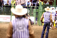 Sunday Night Bull Riding Colby Strickland WHILLS Draft Pick (159)