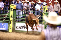 Sunday Night Bull Riding Colby Strickland WHILLS Draft Pick (148)