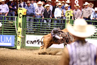 Sunday Night Bull Riding Colby Strickland WHILLS Draft Pick (153)