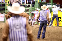 Sunday Night Bull Riding Colby Strickland WHILLS Draft Pick (163)