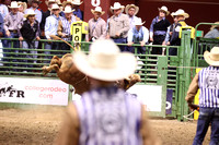 Sunday Night Bull Riding Colby Strickland WHILLS Draft Pick (157)