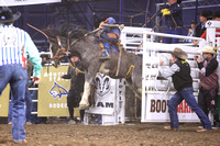 Saddle Bronc