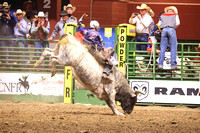 Wednesday Perf Bull Riding TJ Schmidt PANHDL (13)