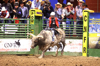 Wednesday Perf Bull Riding TJ Schmidt PANHDL (5)