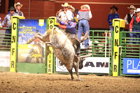 Wednesday Perf Bull Riding TJ Schmidt PANHDL (15)