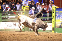 Wednesday Perf Bull Riding TJ Schmidt PANHDL (9)