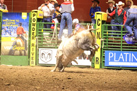 Wednesday Perf Bull Riding TJ Schmidt PANHDL (17)