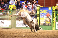 Wednesday Perf Bull Riding TJ Schmidt PANHDL (11)
