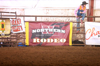 Saddle Broncs