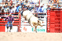 Cheyenne Monday Bull Roping (14)