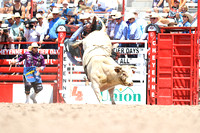 Cheyenne Monday Bull Roping (15)