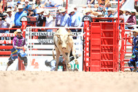Cheyenne Monday Bull Roping (18)