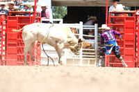 Cheyenne Monday Bull Roping (20)