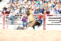 Cheyenne Monday Bull Riding Two (8)
