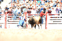 Cheyenne Monday Bull Riding Two (11)