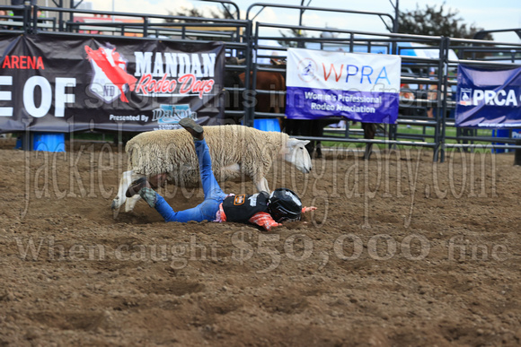 Mandan Wednesday Perf Two (1268) Sheep Riding