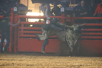 Rapid Extreme Bulls (350)