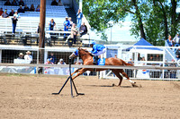 Saturday Horse Racing