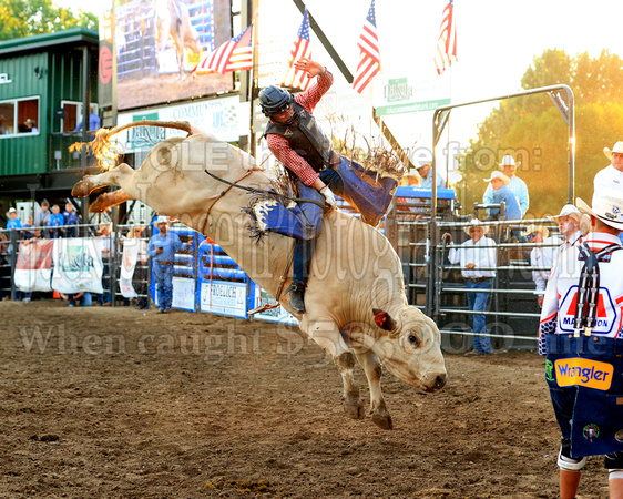 Mandan Perf One Tuesday (1606) Bull Riding Brody Yeary, on Dakota Rodeo's Trump Train, 86.5 points