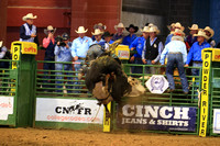 Sunday Section One (131) Bull Riding Timmy Cooper, TVCC, Moonstruck, HV