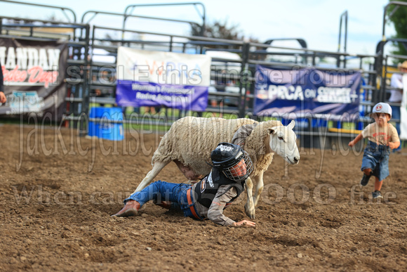 Mandan Perf One Tuesday (742) Sheep riding