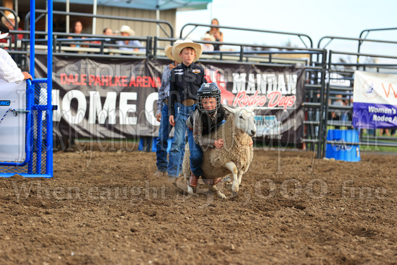 Mandan Perf One Tuesday (740) Sheep riding