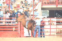 Cheyenne Short RD Saddle Bronc (6)