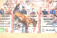 Cheyenne Short RD Saddle Bronc (12)
