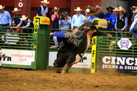 Sunday Section One (132) Bull Riding Timmy Cooper, TVCC, Moonstruck, HV