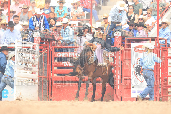 Cheyenne Short RD Saddle Bronc (4)